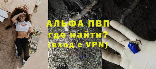 PSILOCYBIN Нефтегорск