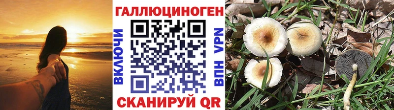 Галлюциногенные грибы MAGIC MUSHROOMS  Куйбышев 