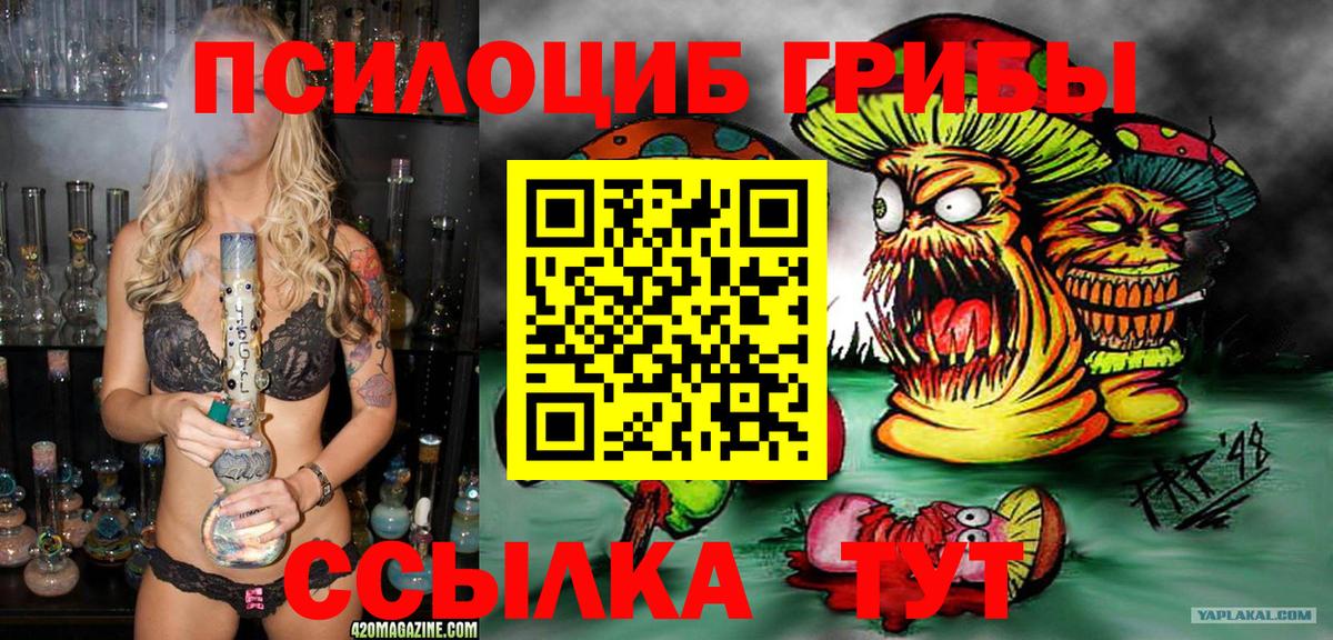 Галлюциногенные грибы прущие грибы  Куйбышев 