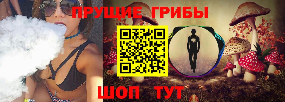 Куйбышев  Псилоцибиновые грибы Psilocybe  Вход с VPN  Псилоцибиновые грибы ЛСД 